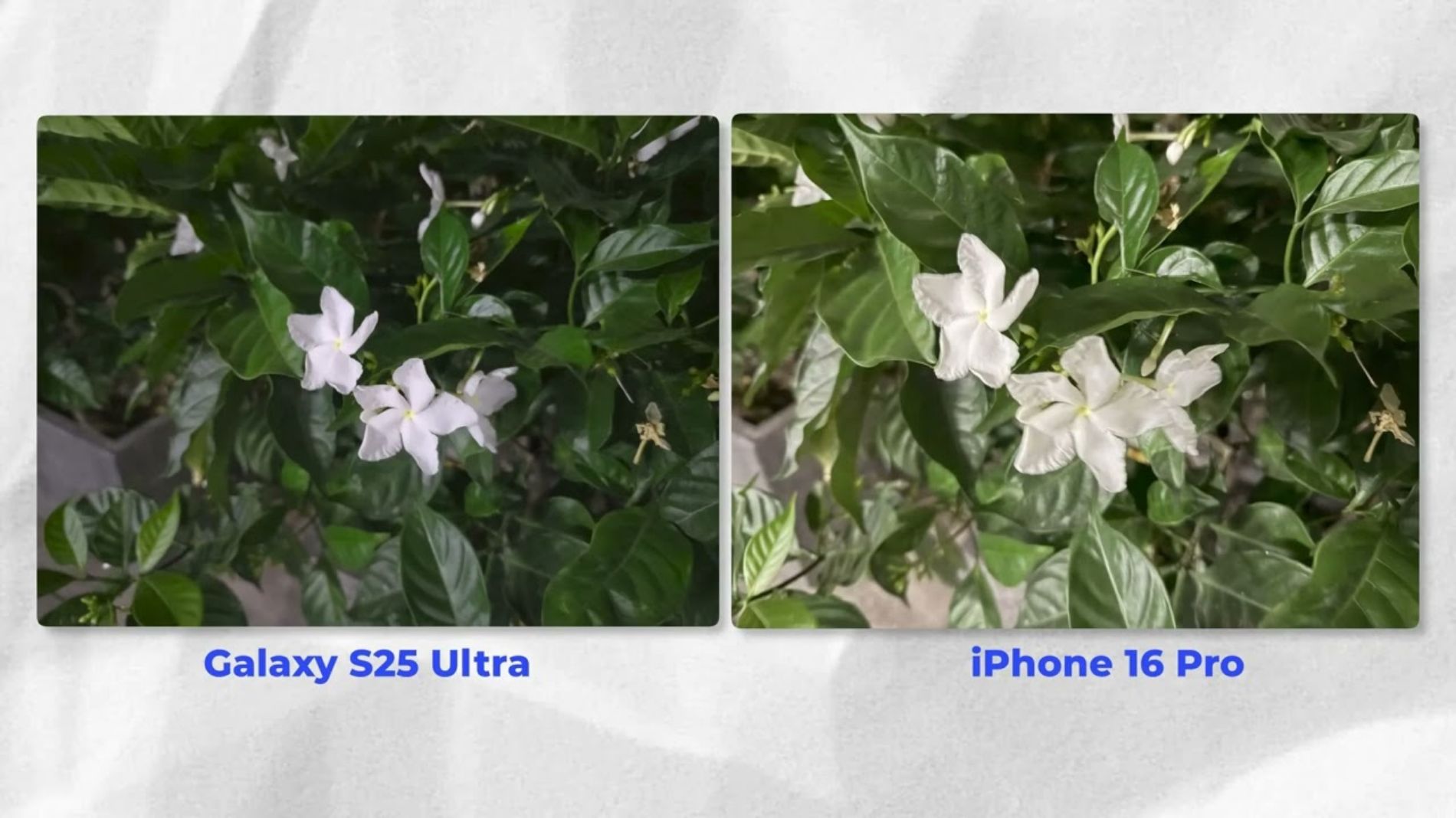Hình ảnh cho danh mục Review Camera Samsung Galaxy S25 Edge cùng Duy Luân và SamCenter